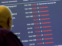 Во всех московских аэропортах временно ограничили полеты