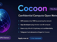 Павел Дуров анонсировал запуск децентрализованной сети Cocoon