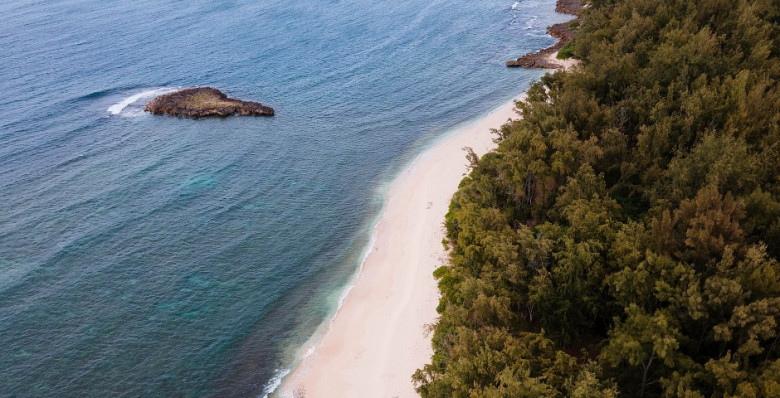 Пассажирку забыли на необитаемом острове в Австралии во время круиза. Она умерла