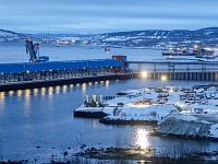 Число МСП в регионах Арктической зоны увеличилось почти на 10%