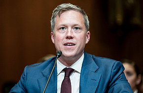 Сливы дают плоды