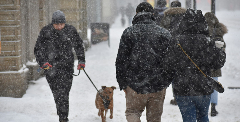 В европейской части России ожидаются аномальные холода