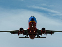 МАК дал рекомендации после анализа посадки лайнера в кукурузном поле в 2019 году