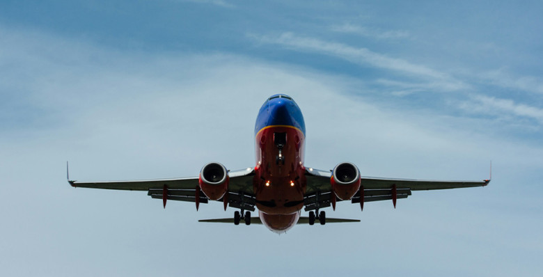 МАК дал рекомендации после анализа посадки лайнера в кукурузном поле в 2019 году