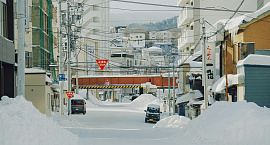 Число жертв снегопадов в Японии достигло 38 человек