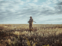 Минприроды опровергло слухи о планах разрешить охоту на краснокнижных животных