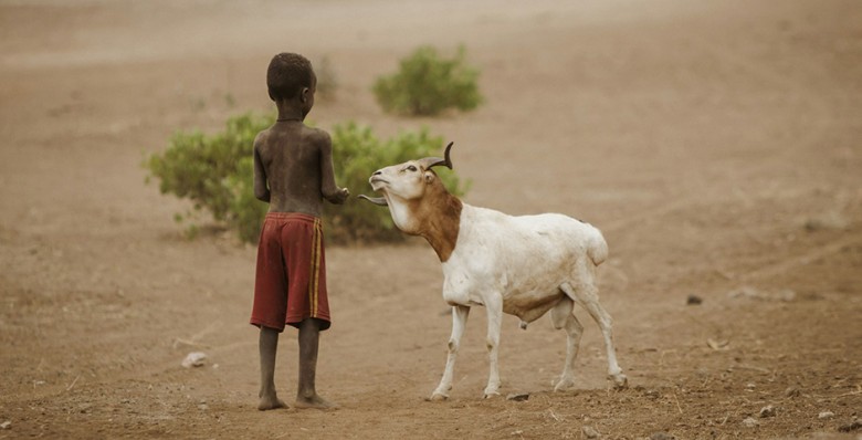 Ученые допустили гибель 14 млн людей из-за сокращения финансирования USAID
