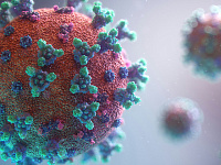 В Индии выявили вспышку неизлечимого вируса Нипах