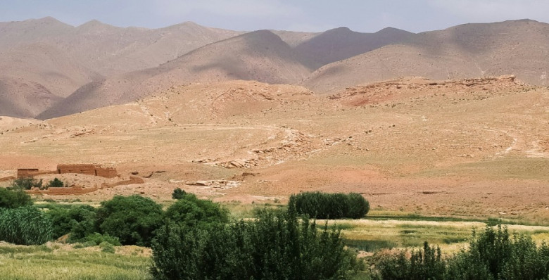 У Иордании начал действовать безвиз с Россией