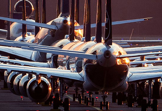 Керосиновая лапа