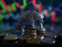 Акции «Лукойла» и «Роснефти» упали из-за дивидендных гэпов