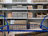 В России зафиксировали кризис перепроизводства яиц