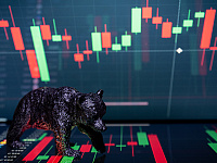 Акции SFI обвалились почти вдвое после рекордных дивидендов