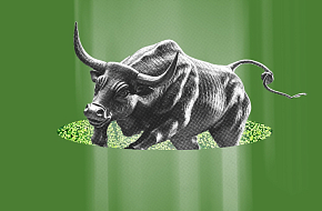 Подкупает отечественное