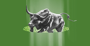 Подкупает отечественное