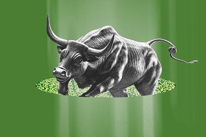 Подкупает отечественное