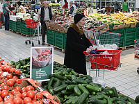 ФАС проверит обоснованность резкого роста цен на огурцы в России