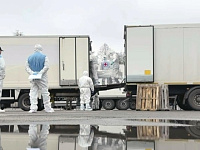 Россия и Украина провели обмен телами погибших военных