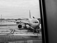 В США из-за бурана отменили или задержали более 12 тысяч рейсов 