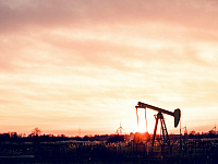 Дональд Трамп подписал указ о заморозке выручки от продажи венесуэльской нефти