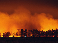 Экономический ущерб от природных катастроф в мире сократился на 40%