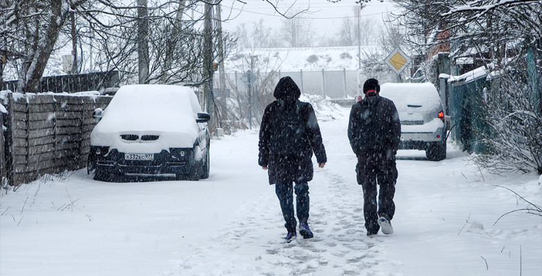 Сергей Кравцов призвал регионы проконтролировать организацию учебы в морозы