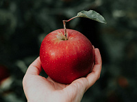 Юрий Трутнев потребовал объяснить, почему одно яблоко на Чукотке стоит 300 рублей