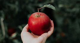 Юрий Трутнев потребовал объяснить, почему одно яблоко на Чукотке стоит 300 рублей