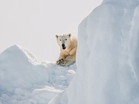 С 2020 года инвестпроекты в Арктике привлекли 2 трлн рублей