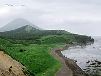 Владимир Путин заявил о необходимости строительства моста на Сахалин