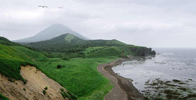 Владимир Путин заявил о необходимости строительства моста на Сахалин