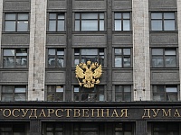 Госдума увеличила число оснований для лишения приобретенного гражданства