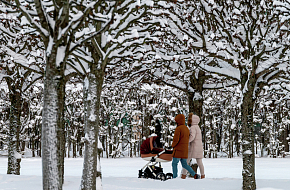 Запреты и стимулы