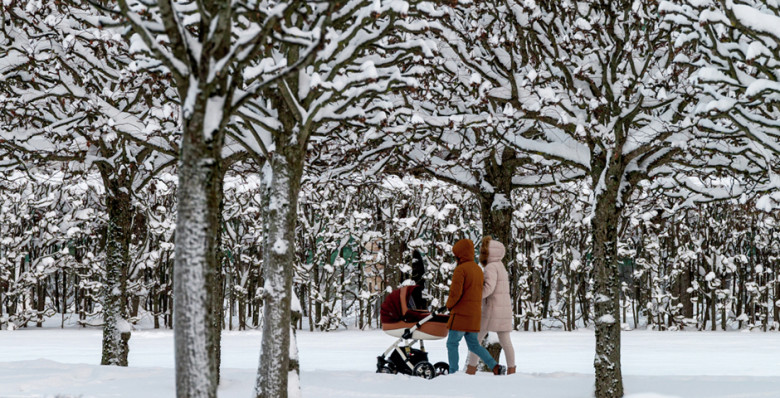 Запреты и стимулы