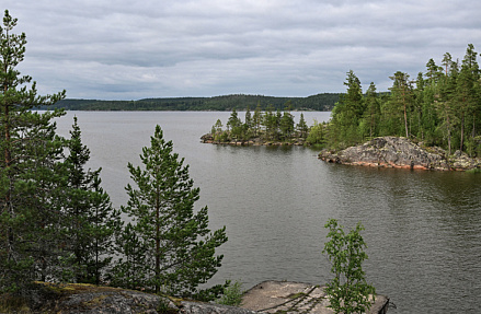 Экологи встали на защиту границ