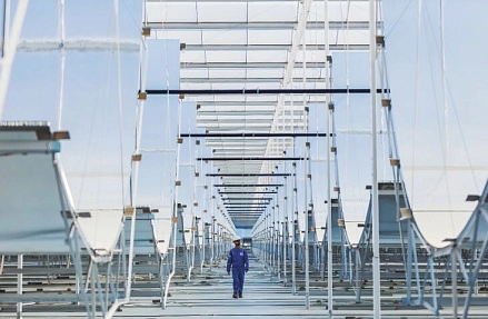 Ставка на «зеленое»